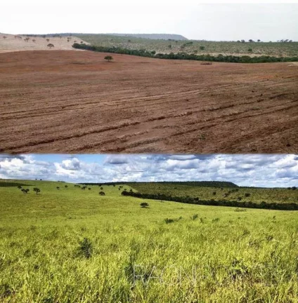 Fazenda à Venda, 18.420.000 m² em Zona Rural - Darcinópolis