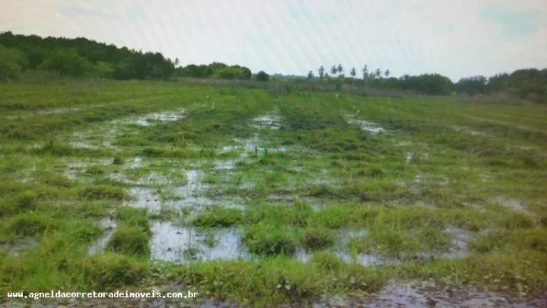 Imagem Fazenda para Venda em Extremoz, capim -extremoz, 3 dormitórios, 1 suíte, 2 banheiros, 6 vagas