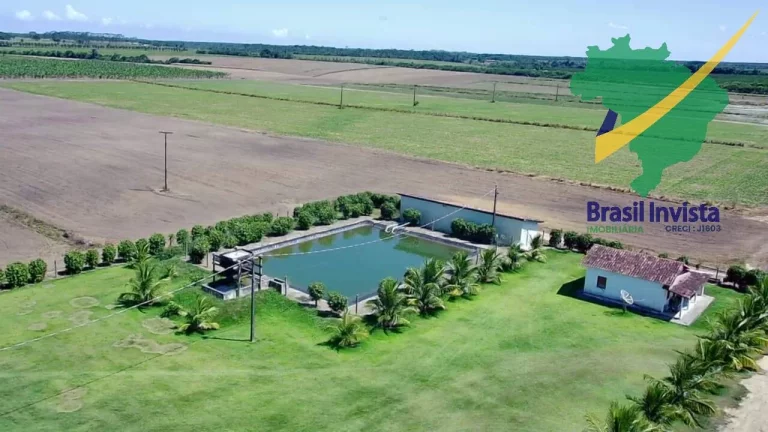 Imagem FAZENDA COM EXCELENTE PRODUÇÃO PRÓXIMA A PORTO SEGURO
