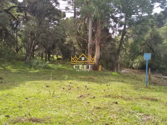 Imagem Chácara - Sítio com 2 Dormitorio(s) localizado(a) no bairro Zona Rural em São Francisco de Paula / RIO GRANDE DO SUL Ref.:1519
