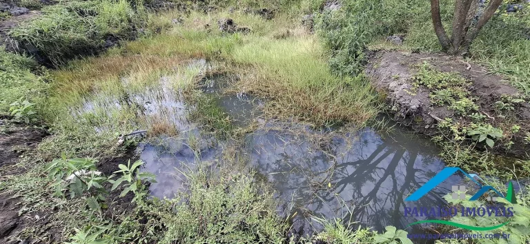 Imagem Refúgio Natural em Paraisópolis: Terreno Exclusivo com 5 Fontes de Água!