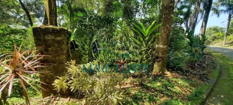 Imagem Terreno na Ponta das Toninhas