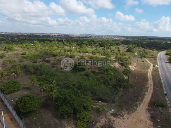 Imagem Área na BR - 101 - Em São Gonçalo do Amarante 6,8 Ha