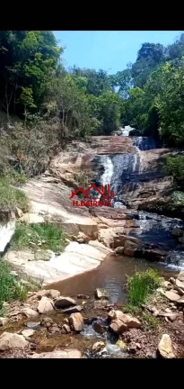 Imagem Fazenda com 100 Alqueires à Venda em Silveiras no Vale do Paraíba - SPaulo