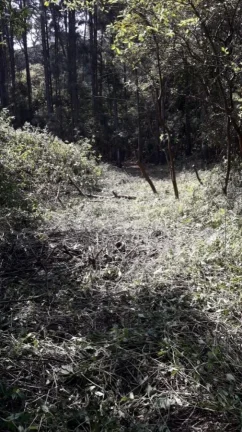 Imagem Terreno Comercial para Venda por R$2.600.000,00 com 8608m² - Jardim do rio cotia, Cotia / SP - Cód. BDI28619