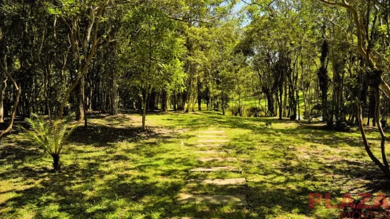 Imagem Lote | Condomínio | Fechado | Gralha Azul