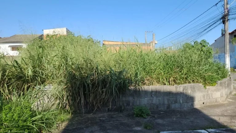 Imagem Terreno à venda, 175 m² por R$ 290.000,00 - Jardim Quaresmeira - Suzano/SP
