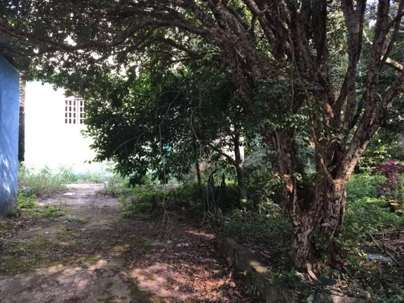 Imagem Terreno à venda, 500 m² por R$ 390.000,00 - Parque Palmeiras - Suzano/SP