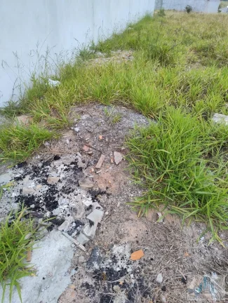 Imagem Terreno, 288m2, à venda em Suzano, Cidade Miguel Badra