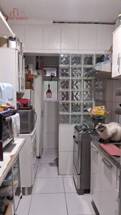 Imagem Lindo Apartamento no Parque Brasil - 70 m²