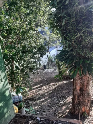 Imagem Casa Antiga 3 Dormitorios sendo 1 Suite Terreno de 10 x 40 Estuda Permuta