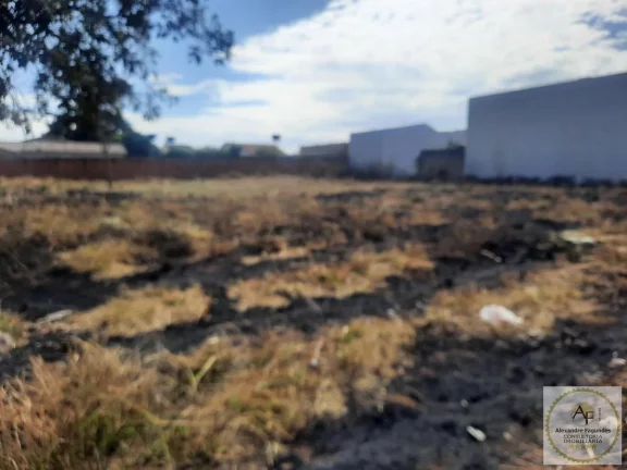 Imagem Área para Venda em Aparecida de Goiânia, Independência