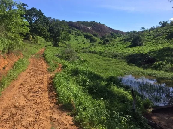 Imagem FAZENDA RURAL em COLATINA - ES, ÁREA RURAL DE COLATINA