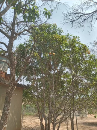 Imagem Chácara à Venda, 1.999 m² em Condomínio Estância Da Cachoeira - Brumadinho