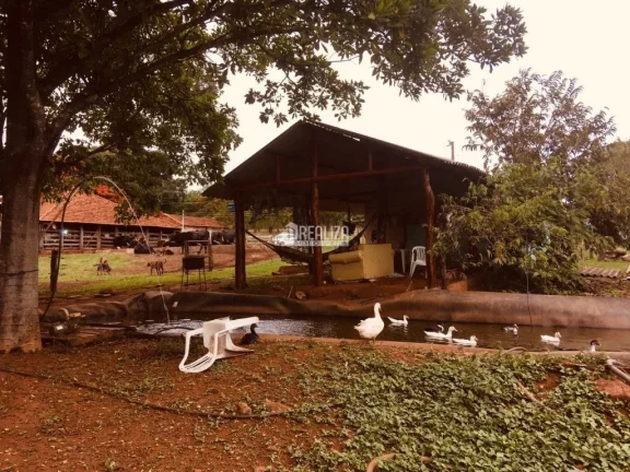 Imagem Oportunidade! Fazenda à venda em Conceição das Alagoas