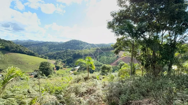 Imagem Chacara em Melgaço - Domingos Martins