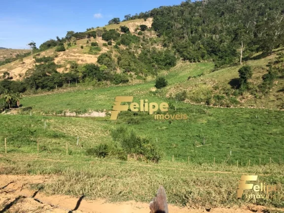 Imagem FAZENDA EM COLATINA (28KM DO CENTRO) / UM IMPERDÍVEL NEGÓCIO!