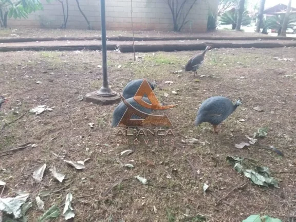 Imagem Casa Condomínio - Ribeirão Preto - Jardim Interlagos