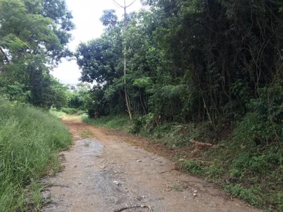 Imagem ÁREA INDUSTRIAL À VENDA, 50 metros de frente para a RODOVIA Índio TIBIRIÇÁ, ZUPI-1, vila sol nascente, suzano