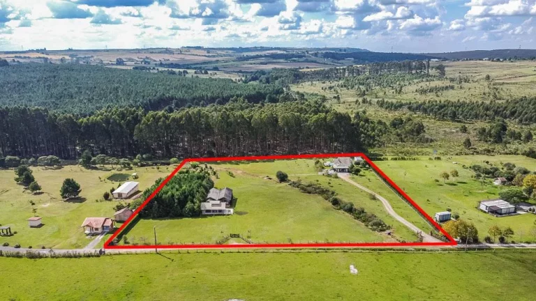 Imagem Chácara à Venda em São Luiz do Purunã-Área de 20 mil m2