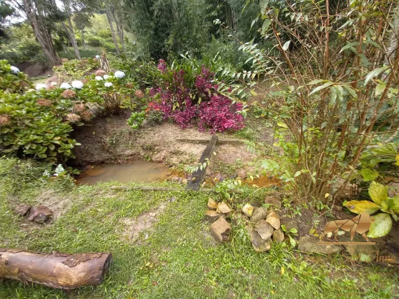 Imagem Chácara à venda, 30000 m² por R$ 1.700.000,00 - Renópolis - Santo Antônio do Pinhal/SP