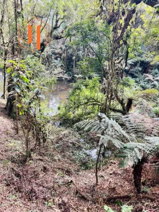 Imagem Chácara para Venda em São José dos Pinhais, Contenda
