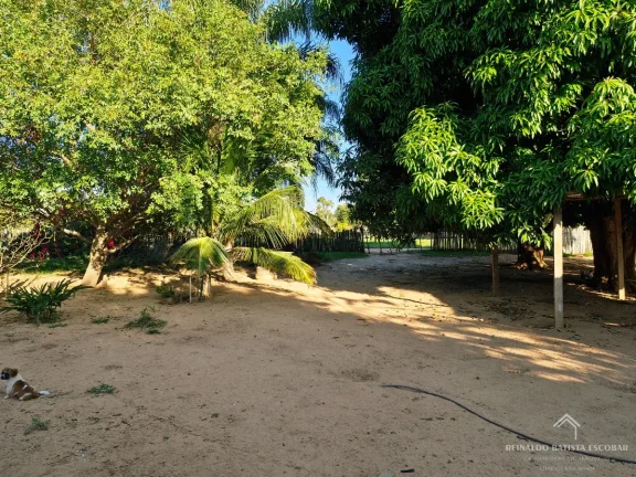 Imagem Chácara 7,8 hectares em Rochedo-MS