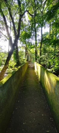 Imagem CHÁCARA LOCALIZADA NO JARDIM CANANEIA - PILAR DO SUL