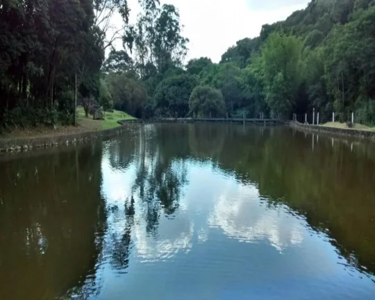 Imagem Área para Venda em Atibaia, Itapetinga