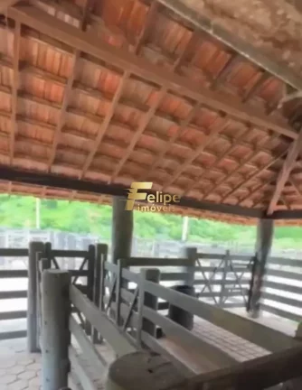 Imagem 110.000 POR ALQUEIRE - FAZENDA Á VENDA PROXIMA A VALADARES/MG!