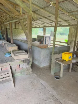 Imagem Lindo Sitio em Santa Catarina - Ascurra