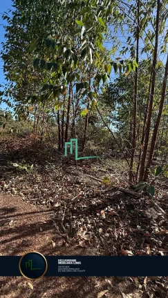 Imagem OPORTUNIDADE ÚNICA - FAZENDA Á VENDA EM PEIXOTO/LAGE (IBIRACI/MG) COM 92 ALQUEIRES