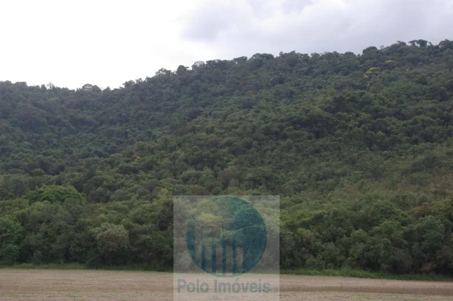 Sitio 8,23 alqueires ou 19,93 ha para compensação de Reserva, R$ 60 mil o alqueire - Jacuí - Minas Gerais.