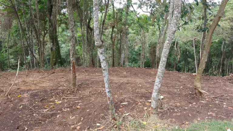 Imagem Terreno em Condomínio para Venda em Santana de Parnaíba / SP no bairro Residencial Santa Helena - Gleba I