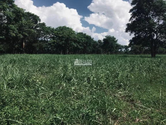Imagem Oportunidade! Fazenda à venda em Conceição das Alagoas