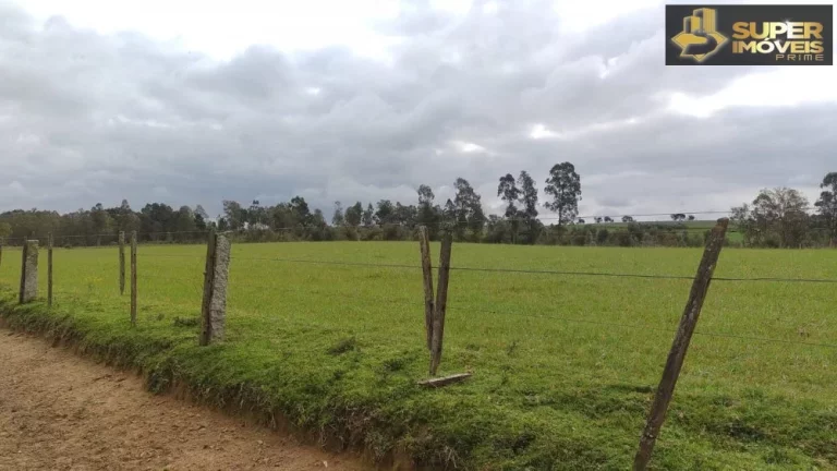 Imagem Fazenda Espetacular no Capão do Leão-RS próximo de Pelotas