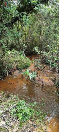 Imagem Fazenda a venda São Miguel Arcanjo SP