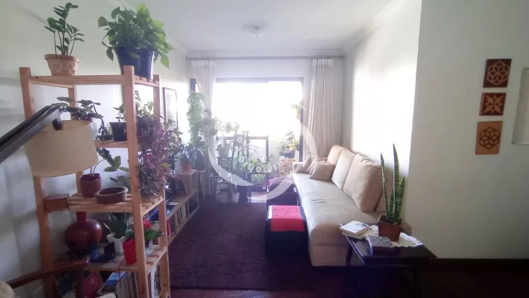 Imagem Apartamento com 3 Quartos à Venda, 79 m² em Vila Firmiano Pinto - São Paulo