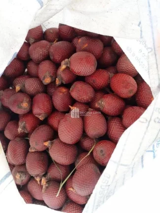 Imagem Fazenda à venda, 900.000 m² por R$ 1.500.000,00 - Zona Rural - Lagoa do Piauí/PI