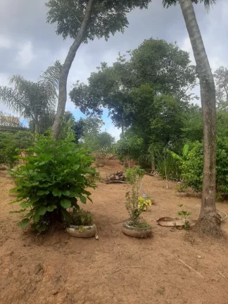 Imagem Chácara a venda Bairro Bananal