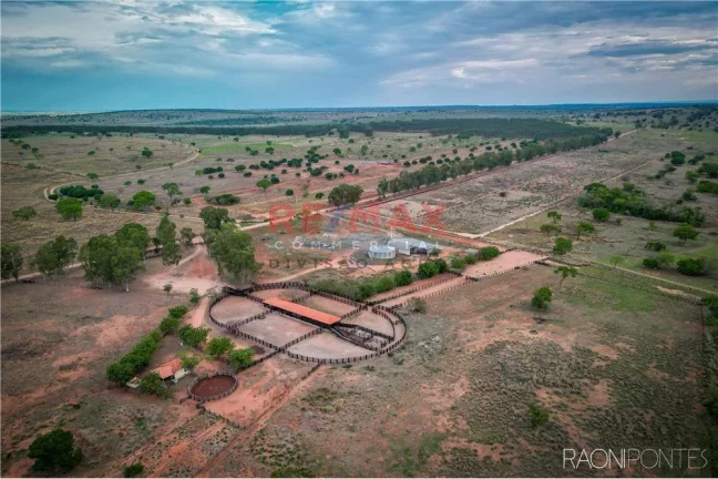 Imagem Fazenda à Venda, 45.340.000 m² em Centro - Figueirão - Figueirão