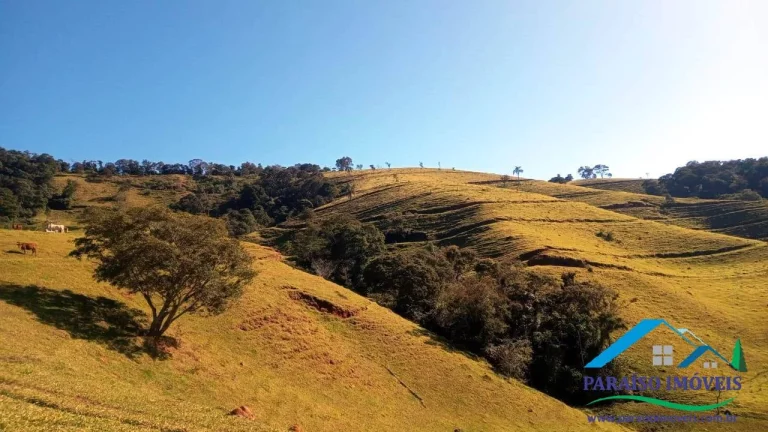 Imagem Terreno rural a venda em Cachoeira de Minas - Oportunidade!