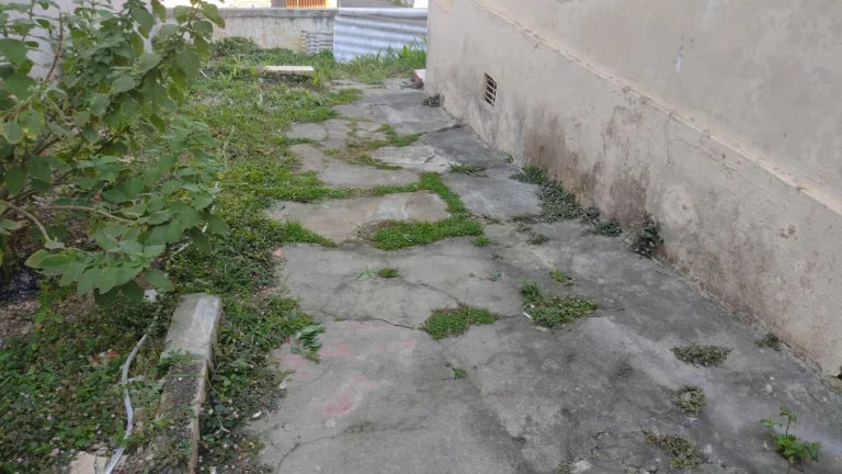 Imagem Casa à venda no bairro Parque Novo Oratório - Santo André/SP