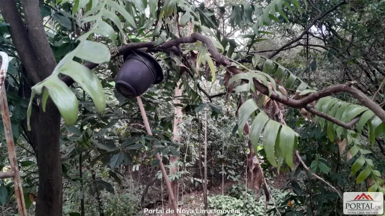Imagem Casa com quintal a venda em Nova Lima, região central