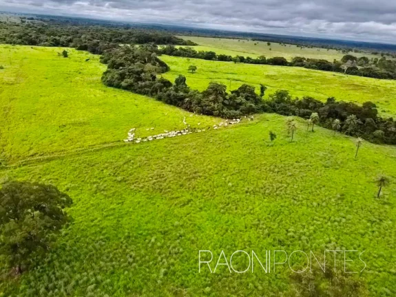 Fazenda à Venda, 7.930.000 m² em Zona Rural - Filadélfia