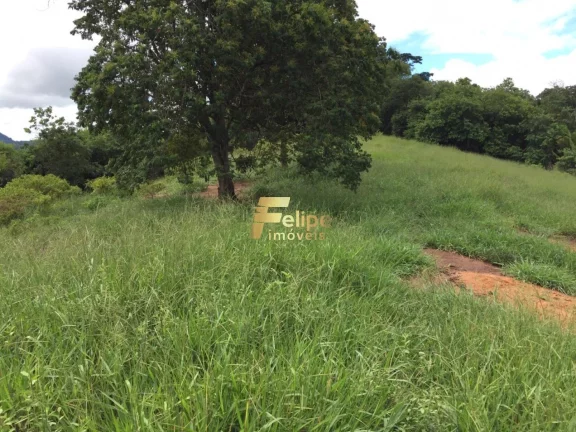Imagem Fazenda de aproximadamente 50 alqueires.