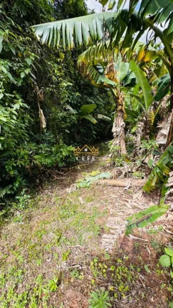 Imagem Chácara - Sítio com 1 Dormitorio(s) localizado(a) no bairro Serra Grande em Três Coroas / RIO GRANDE DO SUL Ref.:1596