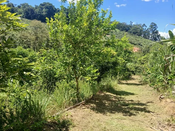 Imagem Sitio em Melgaço Domingos Martins