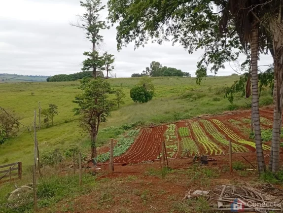 Imagem Fazenda à Venda em Patos de Minas – 6 Hectares na Zona Rural por R$ 1,8 Mi