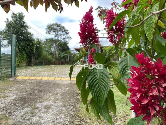 Imagem Sítio com 3 dormitórios à venda, 130 m² por R$ 780.000,00 - Caputera - Arujá/SP